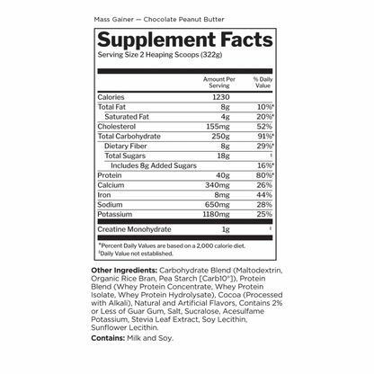 R1 Mass Gainer 12LB Peanut Butter Chocolate