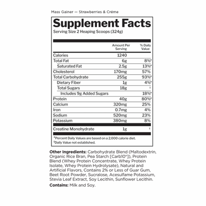 R1 Mass Gainer 6LB Strawberries & Creme
