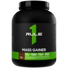 R1 Mass Gainer 6LB Chocolate Fudge