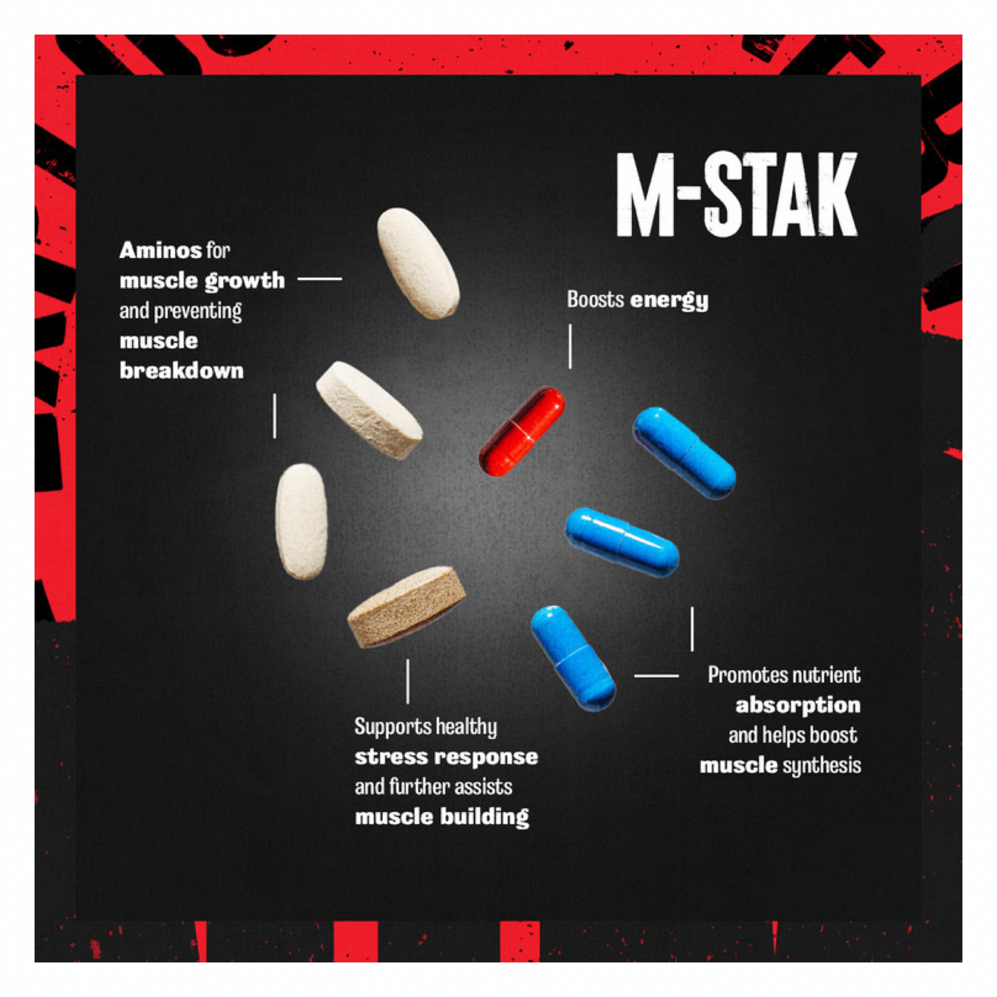 Animal M-Stak