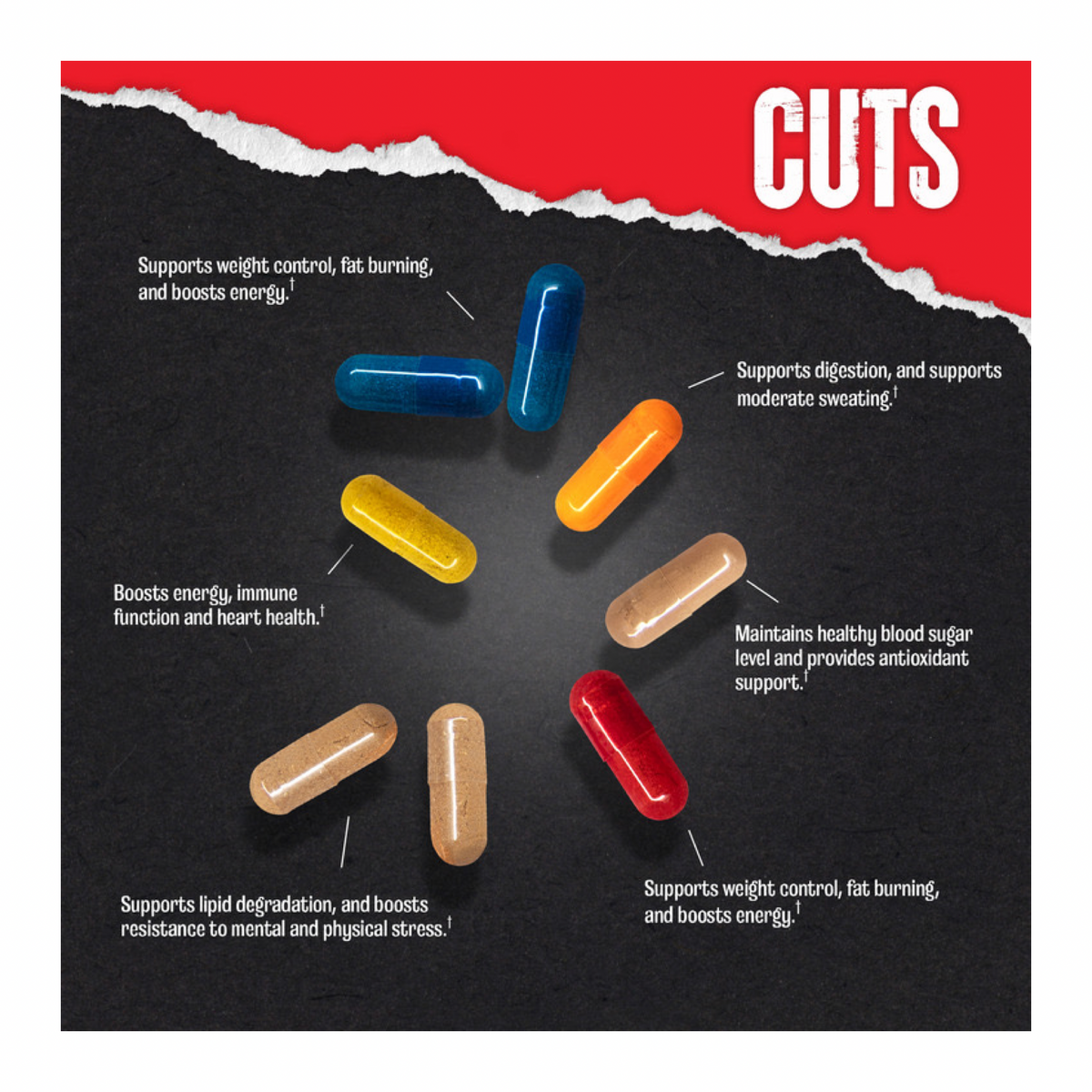 Animal Cuts