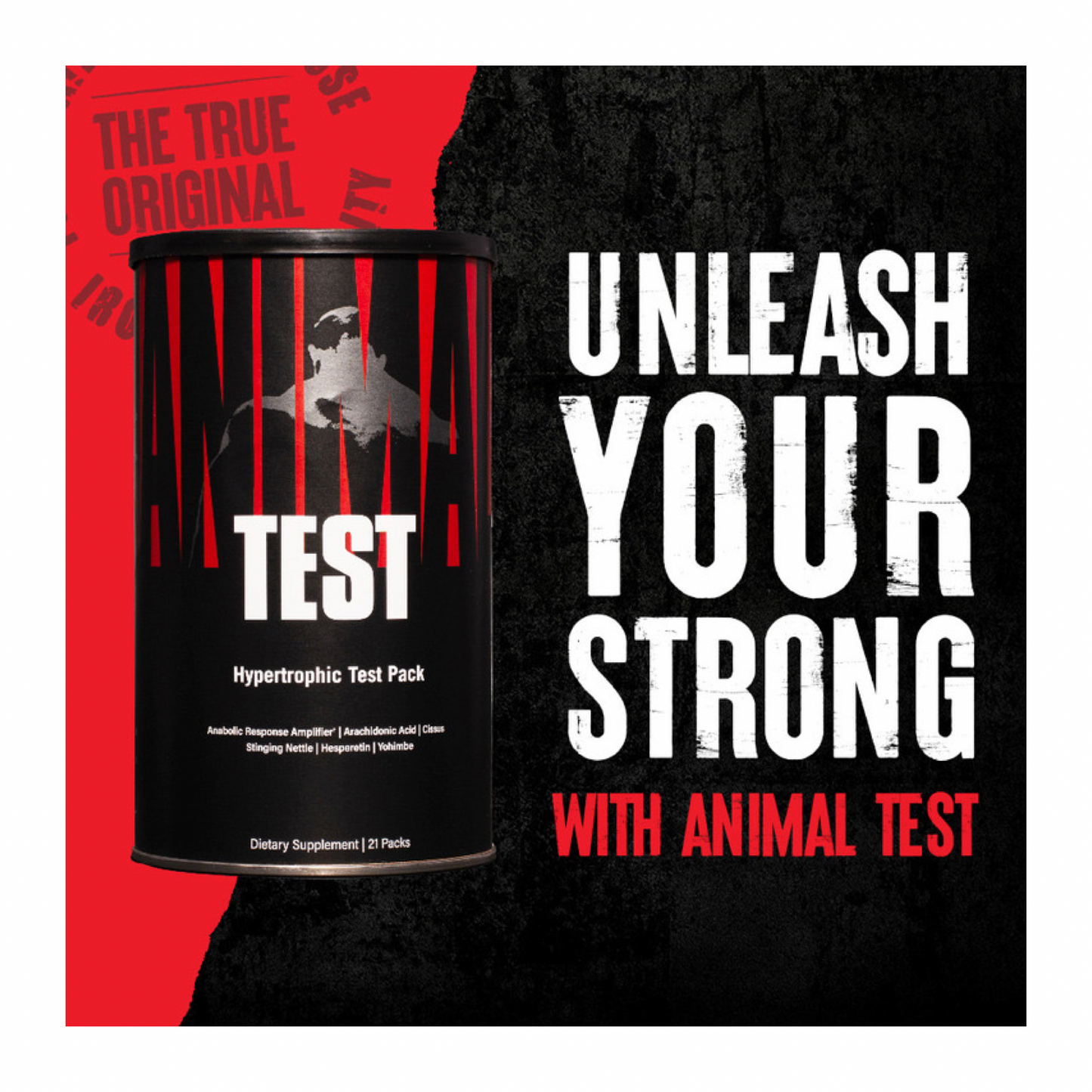 Animal Test