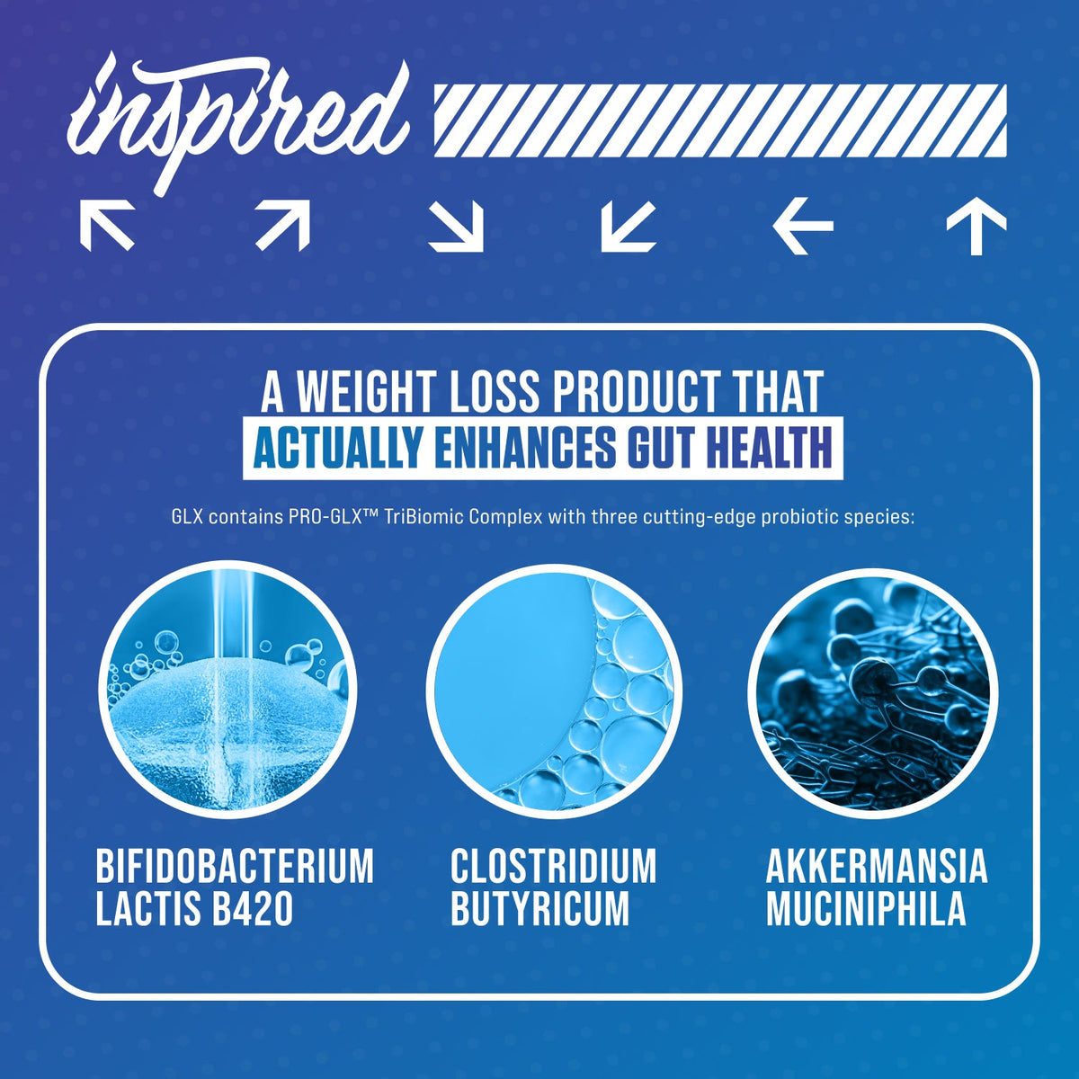 Inspired GLX | 4-in-1 Metabolic and Appetite Support