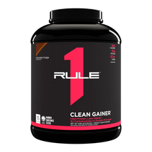 R1 Gain 5LB Chocolate Fudge