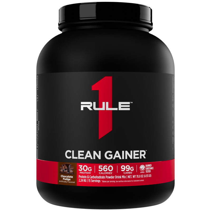 R1 Gain 5LB Chocolate Fudge