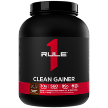 R1 Gain 5LB Chocolate Fudge